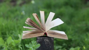 Öğleden sonra, asılı güneşin altında çimlerin üzerinde tahta kenevir üzerine açık bir kitap.