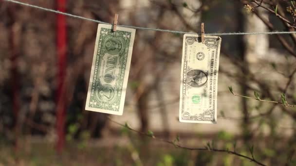 Dólares Pesam Uma Corda Nos Chinelos Transportaram Uma Árvore Jardim — Vídeo de Stock