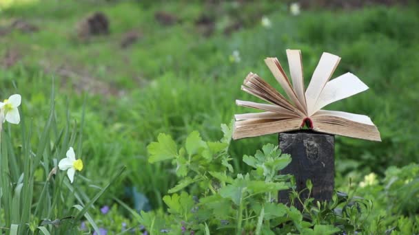 Libro Abierto Sobre Cáñamo Madera Hierba Por Tarde Sol Colgante — Vídeos de Stock