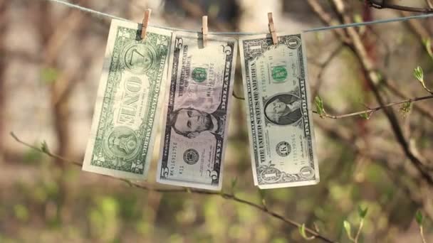 Dollar Väger Ett Rep Tofflorna Släpade Ett Träd Trädgården Eftermiddagen — Stockvideo