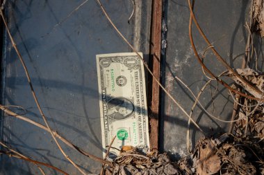 Eski kirli pencere ve bir Amerikan doları.