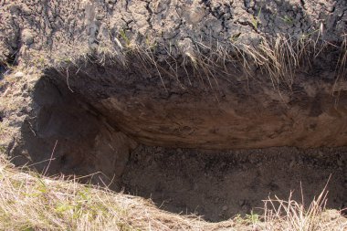 Coronavirus, Ukrayna Dinyeper hastaları için yeni kazılmış mezarlar, mezar mezarlığı