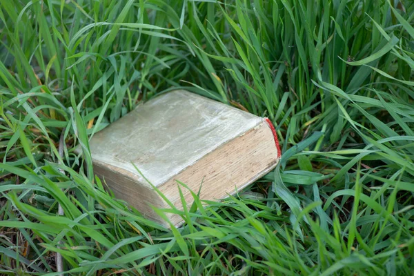 Vieux Livre Fermé Trouve Dans Jardin Sur Herbe — Photo