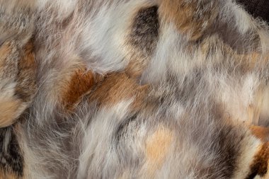 Arka plan olarak farklı hayvanların kürklerinden kürk manto.