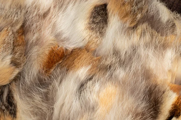 不同动物的皮毛制成的皮毛外套作为背景 — 图库照片