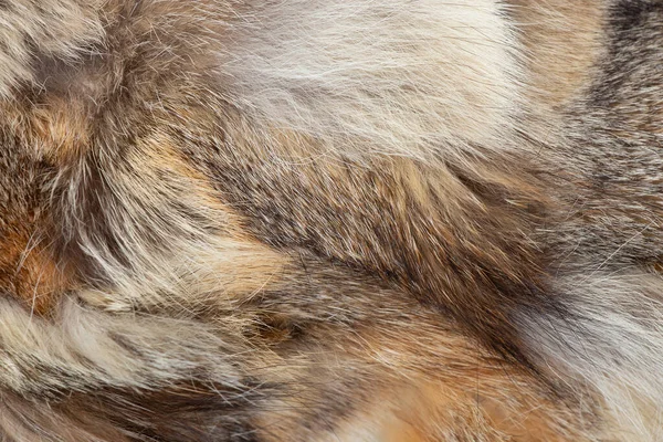 Pelzmantel Aus Fellstücken Verschiedener Tiere Als Hintergrund — Stockfoto
