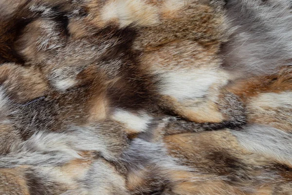 様々な動物の毛皮からできた毛皮のコートを背景に — ストック写真