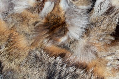 Arka plan olarak farklı hayvanların kürklerinden kürk manto.