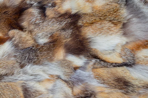 Fur Coat Pieces Fur Different Animals Background — Stock Photo, Image