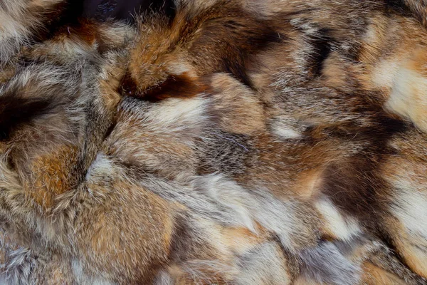 Fur Coat Pieces Fur Different Animals Background — Stock Photo, Image