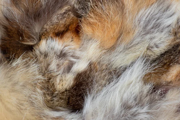 不同动物的皮毛制成的皮毛外套作为背景 — 图库照片