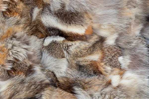 様々な動物の毛皮からできた毛皮のコートを背景に — ストック写真