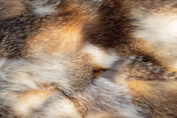 Pelzmantel Aus Fellstücken Verschiedener Tiere Als Hintergrund — Stockfoto