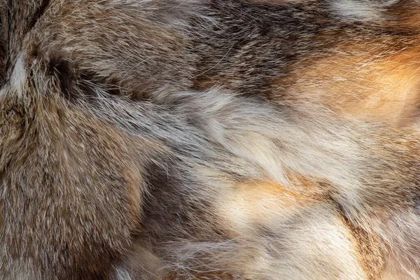 Abrigo Piel Trozos Piel Diferentes Animales Como Fondo —  Fotos de Stock