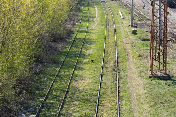 乌克兰春天的铁路 有许多轨道 — 图库照片