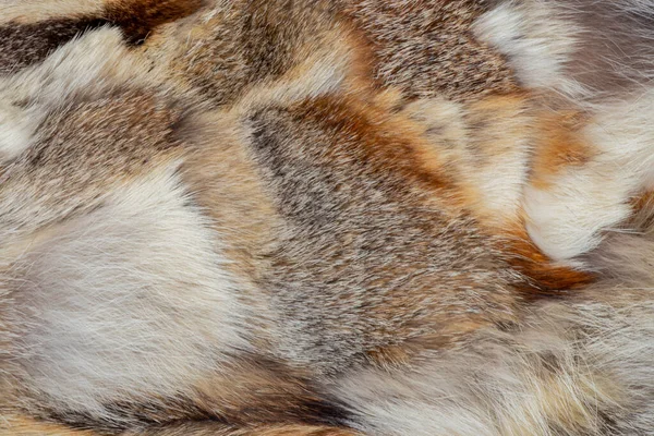 Arka Plan Olarak Farklı Hayvanların Kürklerinden Kürk Manto — Stok fotoğraf