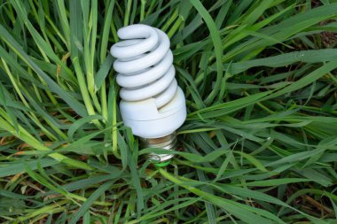Enerji tasarrufu sağlayan ampul ve çimlerde yeşil çimen