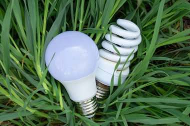 Enerji tasarrufu sağlayan ampul ve çimlerde yeşil çimen