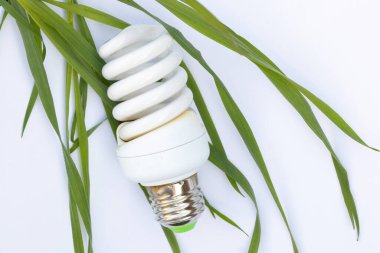 Enerji tasarrufu sağlayan ampul ve çimlerde yeşil çimen