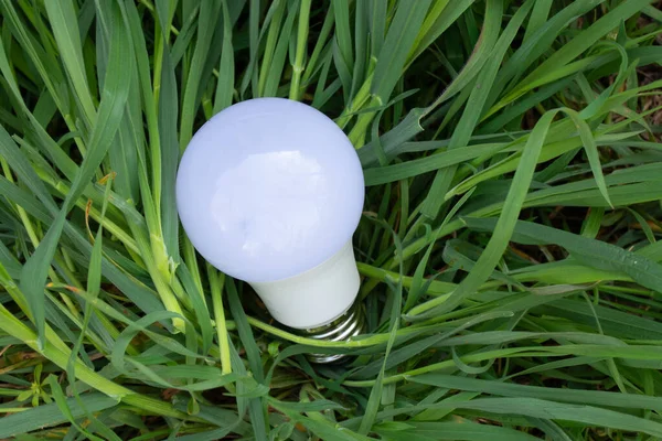 草坪上的节能灯泡和绿草 — 图库照片