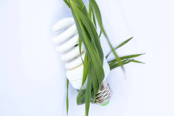 Energibesparande Glödlampa Och Grönt Gräs Gräsmattan — Stockfoto