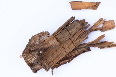 İzole edilmiş beyaz arka planda eski bir tahta parçası