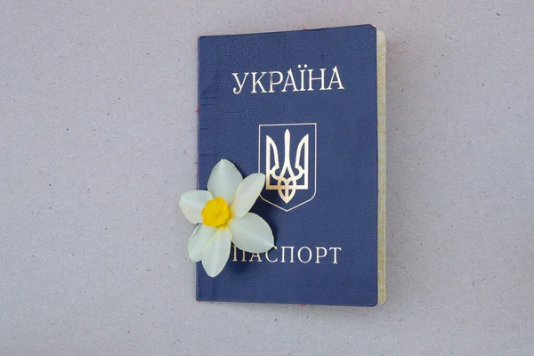 Ukraiński Paszport Żonkilem Kwiat Pączek Izolatce — Zdjęcie stockowe