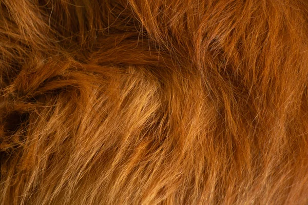 Naturalne Rude Włosy Zwierzęcia Tle — Zdjęcie stockowe