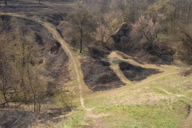 İlkbaharda öğleden sonra ormanda uzun bir patika.