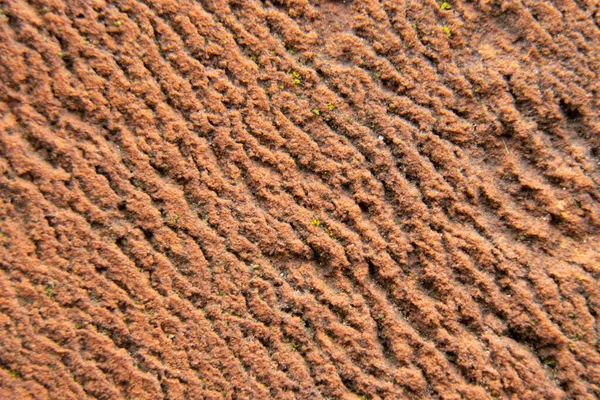 Sfondo Mattoni Vecchi Sulla Strada — Foto Stock