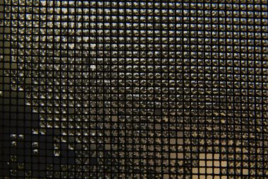 su damlalarıyla kondisyon için ıslak koruyucu ağ, makro