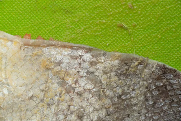 Haut Von Eingelegtem Lachs Als Hintergrund — Stockfoto
