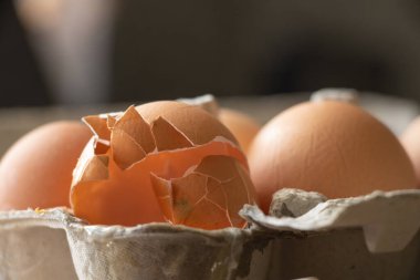 Masadaki kutuda kırılmış çiğ yumurta.