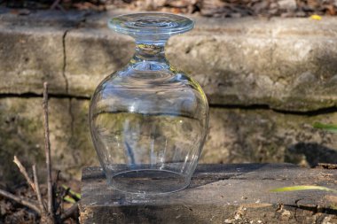 boş bir şeffaf bardak yerde duruyor.