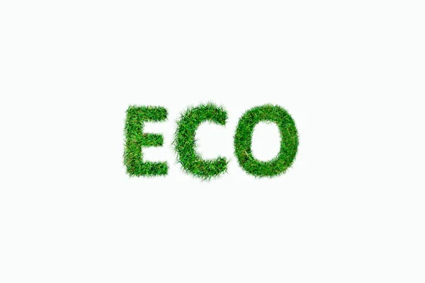 Eso Word English Green Grass White — Stock Photo, Image