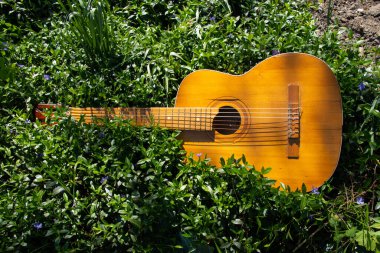 Tahta kahverengi gitar ilkbaharda güneşte çimlerin üzerinde uzanıyor.