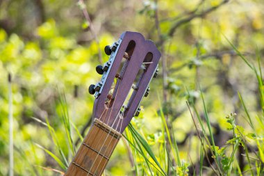 Tahta kahverengi gitar ilkbaharda güneşte çimlerin üzerinde uzanıyor.