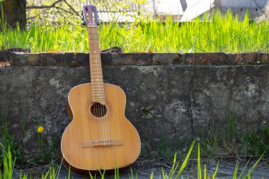 Ahşap kahverengi gitar, baharda çimlerin üzerinde taş bir yolda yatıyor.