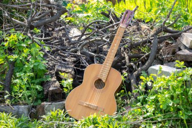 Ahşap kahverengi gitar, baharda çimlerin üzerinde taş bir yolda yatıyor.