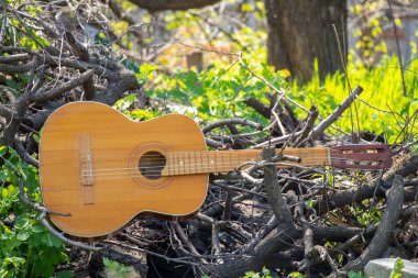 Ahşap kahverengi gitar, baharda çimlerin üzerinde taş bir yolda yatıyor.