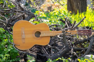 Ahşap kahverengi gitar, baharda çimlerin üzerinde taş bir yolda yatıyor.