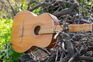 Ahşap kahverengi gitar, baharda çimlerin üzerinde taş bir yolda yatıyor.