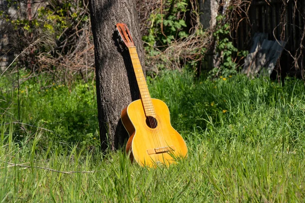 Wooden Brown Guitar Lies Wildflowers Spring Ukraine — Stock Photo, Image