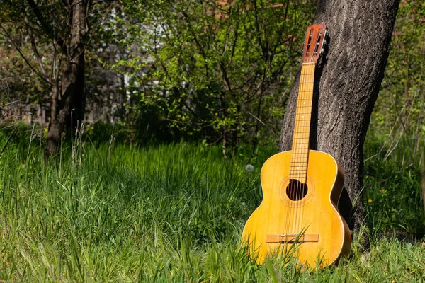 Drewniana Brązowa Gitara Leży Dzikich Kwiatach Wiosną Ukrainie — Zdjęcie stockowe