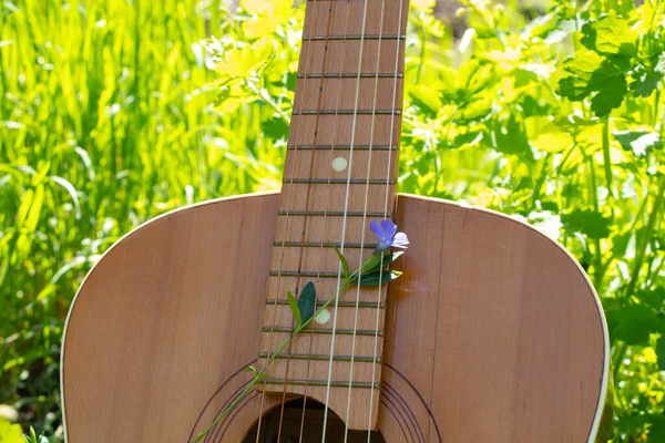 木製の茶色のギターは太陽の下で春に草の上に横たわる — ストック写真