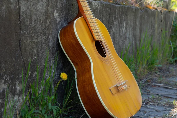 wooden brown guitar lies on a stone road in the street in the spring grass