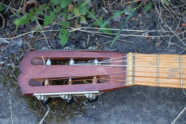 Ahşap Kahverengi Gitar Baharda Çimlerin Üzerinde Taş Bir Yolda Yatıyor — Stok fotoğraf