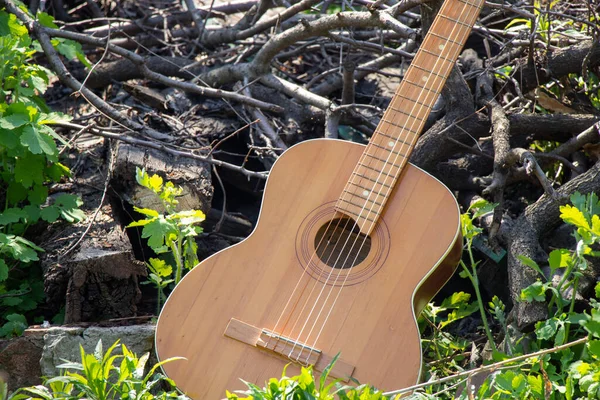 Деревянная Коричневая Гитара Лежит Каменной Дороге Улице Траве — стоковое фото