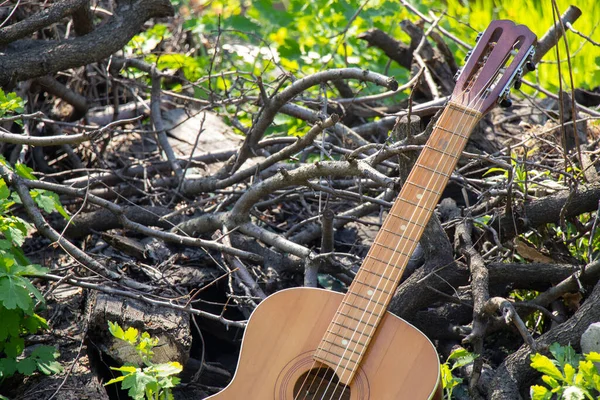 Ahşap kahverengi gitar, baharda çimlerin üzerinde taş bir yolda yatıyor.