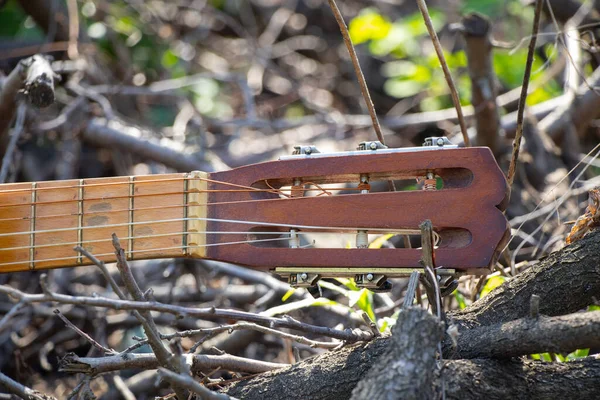 Hölzerne Braune Gitarre Liegt Auf Einem Feldweg Auf Der Straße — Stockfoto